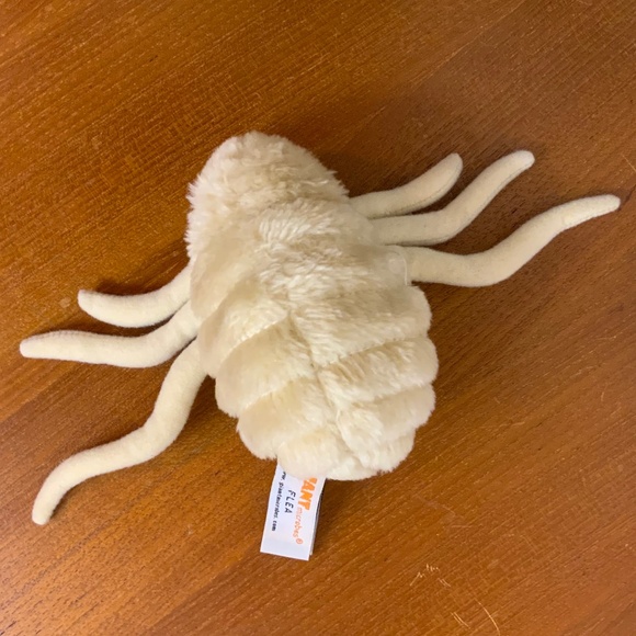 GIANT Microbes Flea plush toy. Science toy & Collectible. Bloodsucking creature - Picture 2 of 3
